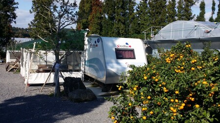 서귀포 팜핑제주카라반