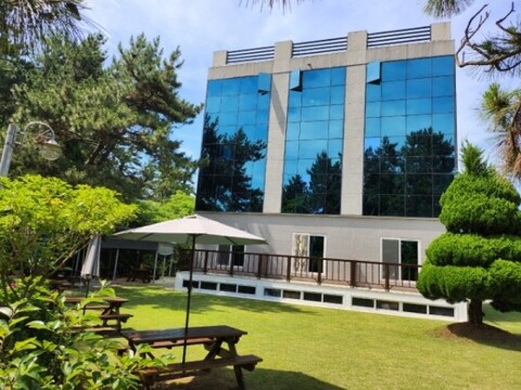 완도 카사엘리오