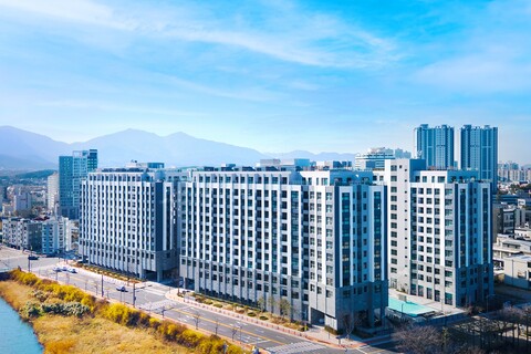 도미니클라바 속초