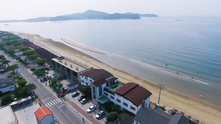 태안 마로니에펜션