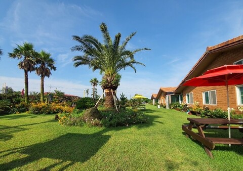 제주 힐링리조트