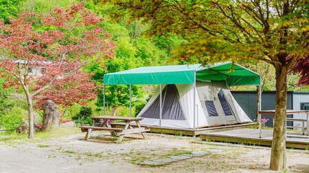 가평 코끼리글램핑펜션