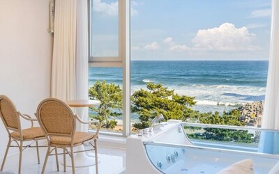 강릉 레이벨류스파펜션(안목 커피거리)