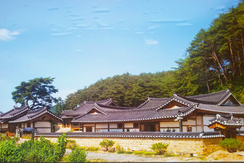 안동 온계종택(삼백당)