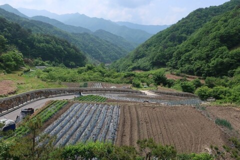 하동 휴정펜션