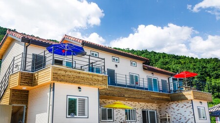 통영 물개스테이