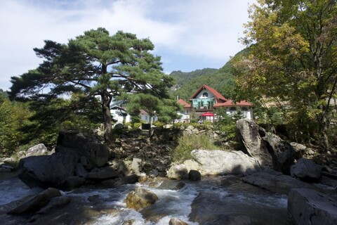 인제 바위솔펜션