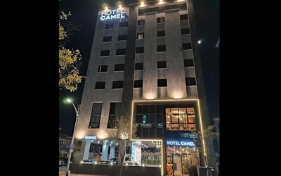 속초 관광 호텔 카멜