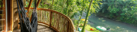 Bamboo Turtle Ecolodge