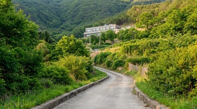 문경 사라앤숲