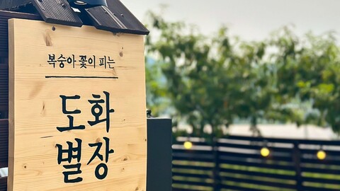 청주 도화별장펜션