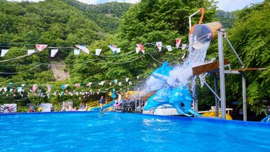 춘천 자유인의카라반