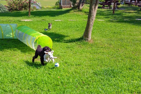 Ganghwa-teo Dog Pension