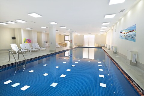 아니 센트럴 인