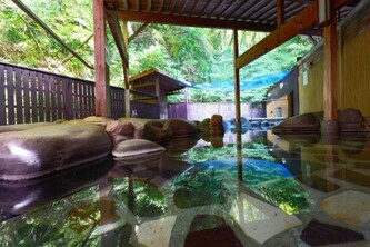 平山温泉 奥山鹿温泉旅館