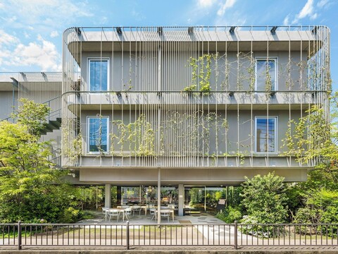 라세르 스위트 가마쿠라