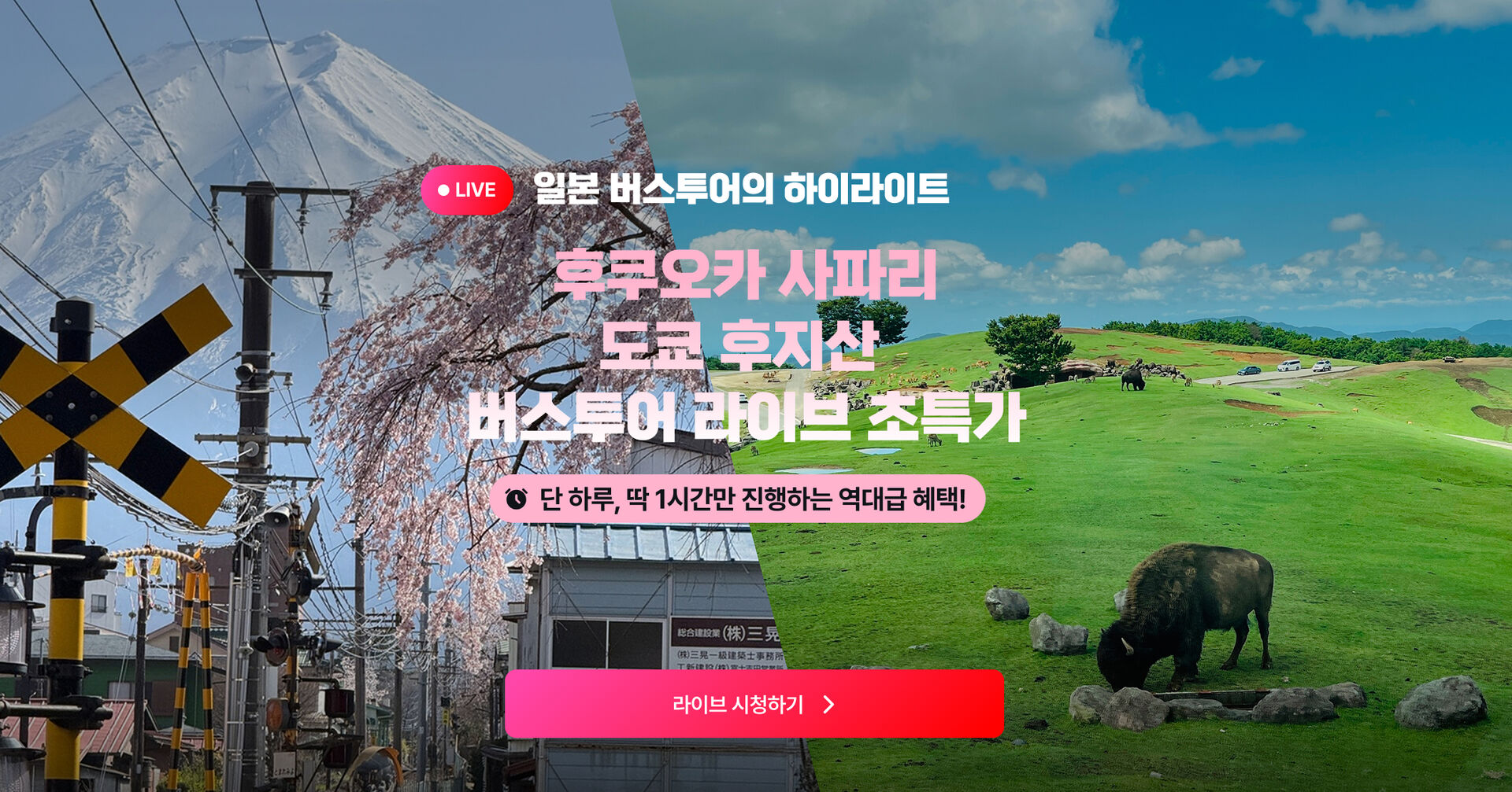 Frame 1618874607.jpg