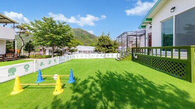 단양 댕댕이애견가족펜션블랙