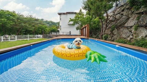 가평 산타마리아 애견동반 독채 펜션