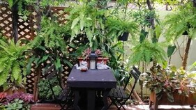 37 Nature House