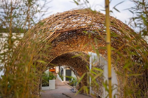 The Nest