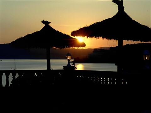 Hotel Navia Santa Ponsa - Adults Only