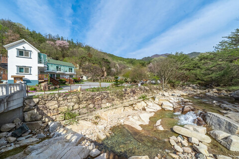 제천 산중다연펜션