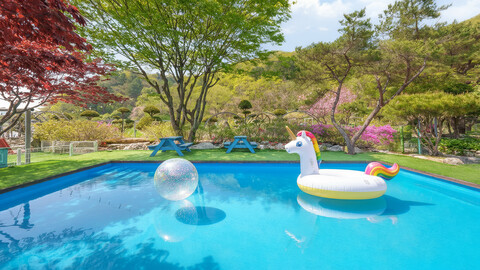 가평 어느날스파애견펜션