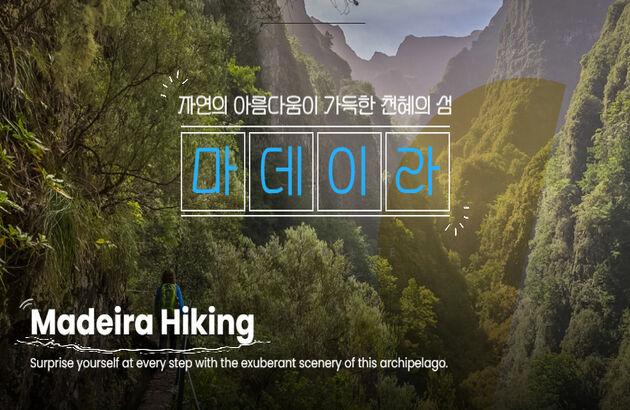 포르투갈 마데이라 트레킹 9일 #와이너리탐방 #리스본관광 #대한항공