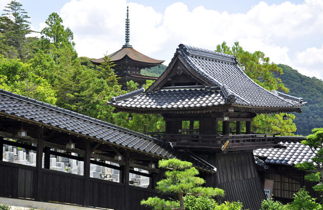 부산출발 큐슈 4일 #부관훼리 #선내2박 #실속 #야마구치 #호후모리씨 #다자이후 #라라포트 #온천욕