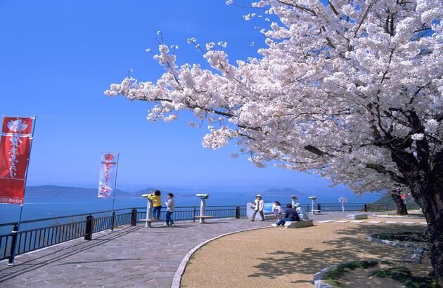 부산출발 다카마츠 3일 #6명이상 출발확정 #다카마츠 #고토히라 #도쿠시마 3일