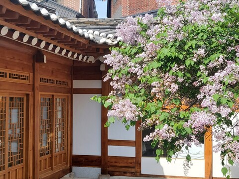 서울 고금당
