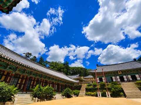 대구 투어 - UNESCO Haeinsa Temple Day Tour from Daegu (해인사)