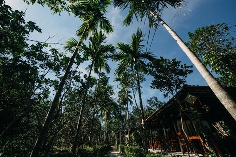 Thuy Bieu Homestay