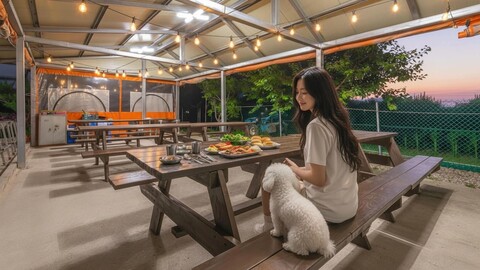 삼척 그린향 애견동반 펜션