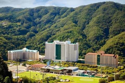 비발디파크
