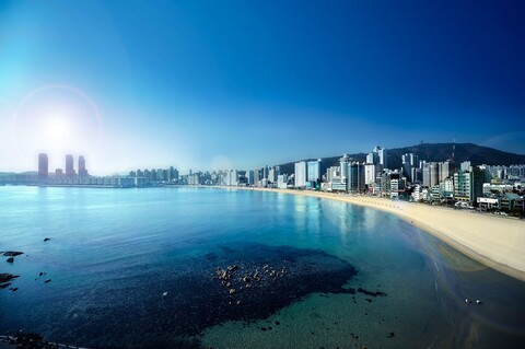 오션 더 포인트 호텔