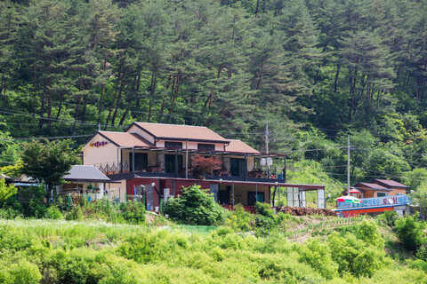 인제 내린천 민들레향기