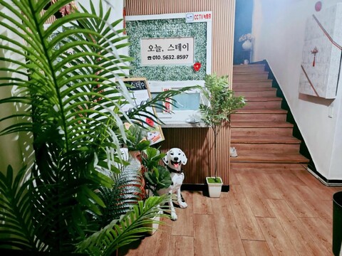 수원역 오늘, 스테이(수원역 도보7분)