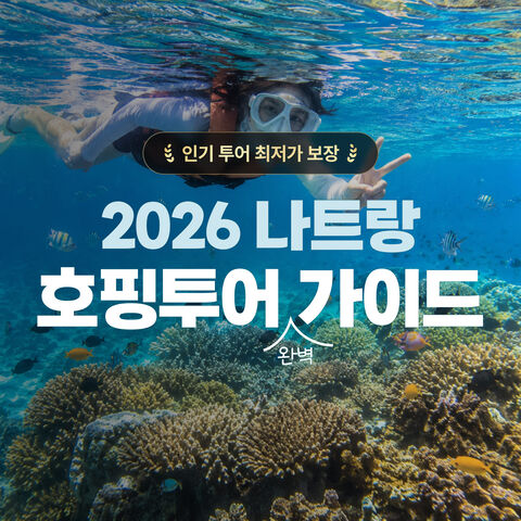 호핑투어🌊