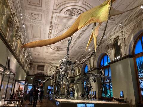 product-thumbnail-4