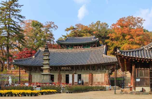 충남/공주 1일 #백제문화제 #마곡사 #공산성 #공주메타세콰이어길-i