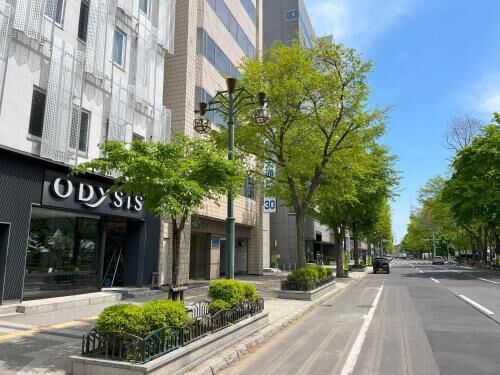 Odysis Sapporo Odori Koen Hotel 대표 이미지