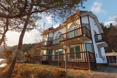 비발디 캐슬