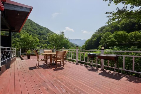 누란의 뜰