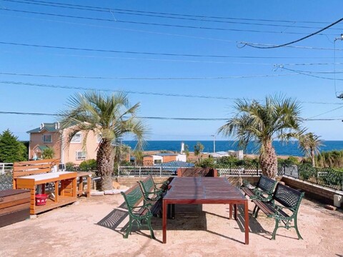 Palm Village