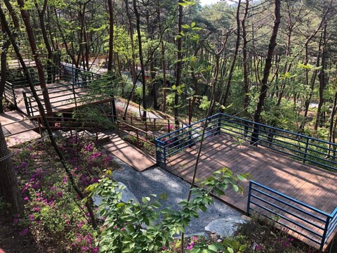 올레유 캠핑장