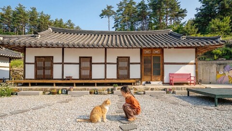 강릉 깨비네집 펜션