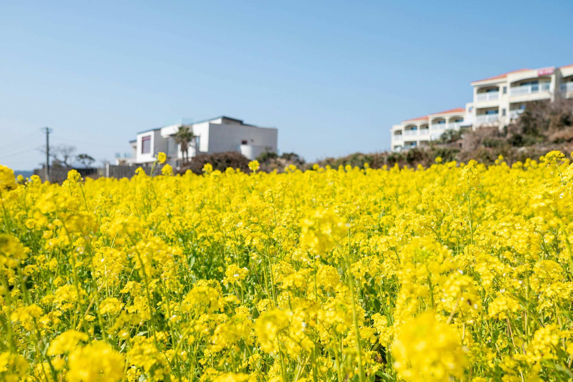 김포→제주