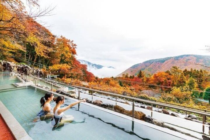 하코네 코와키엔 유넷산 입장권-i